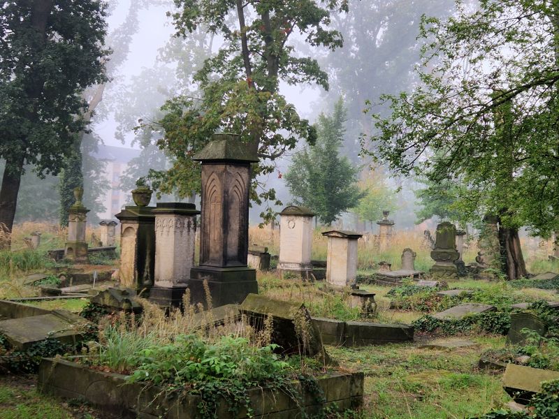 Blick auf den Eliasfriedhof mit dem Ulrici-Grab, Foto: Kerstin Marasch