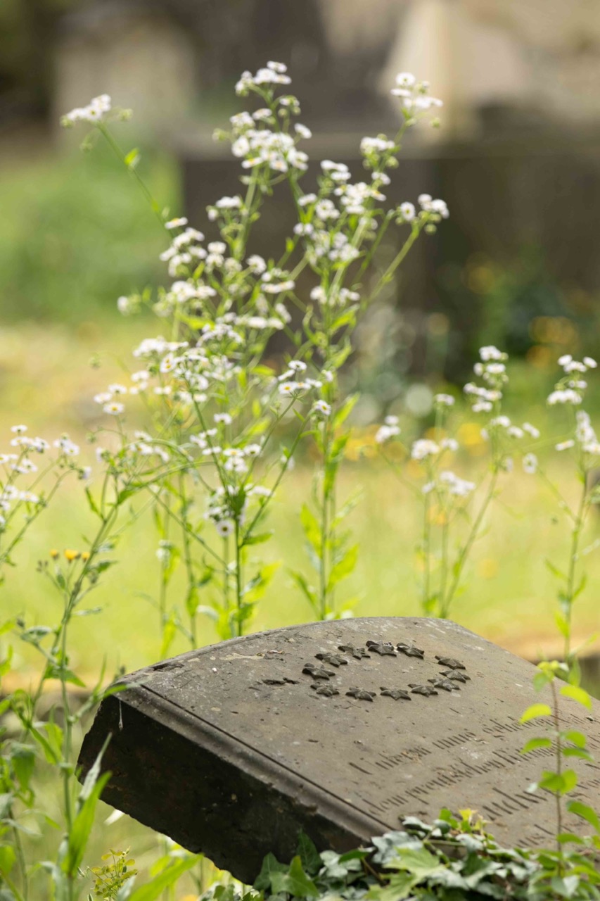 Grabstein mit Sternenkranz auf dem Eliasfriedhof