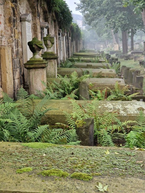 Blick auf Grüfte auf dem Eliasfriedhof